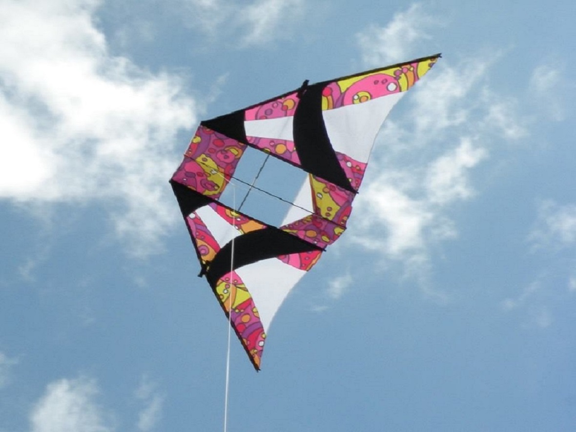 Kite Flying Image